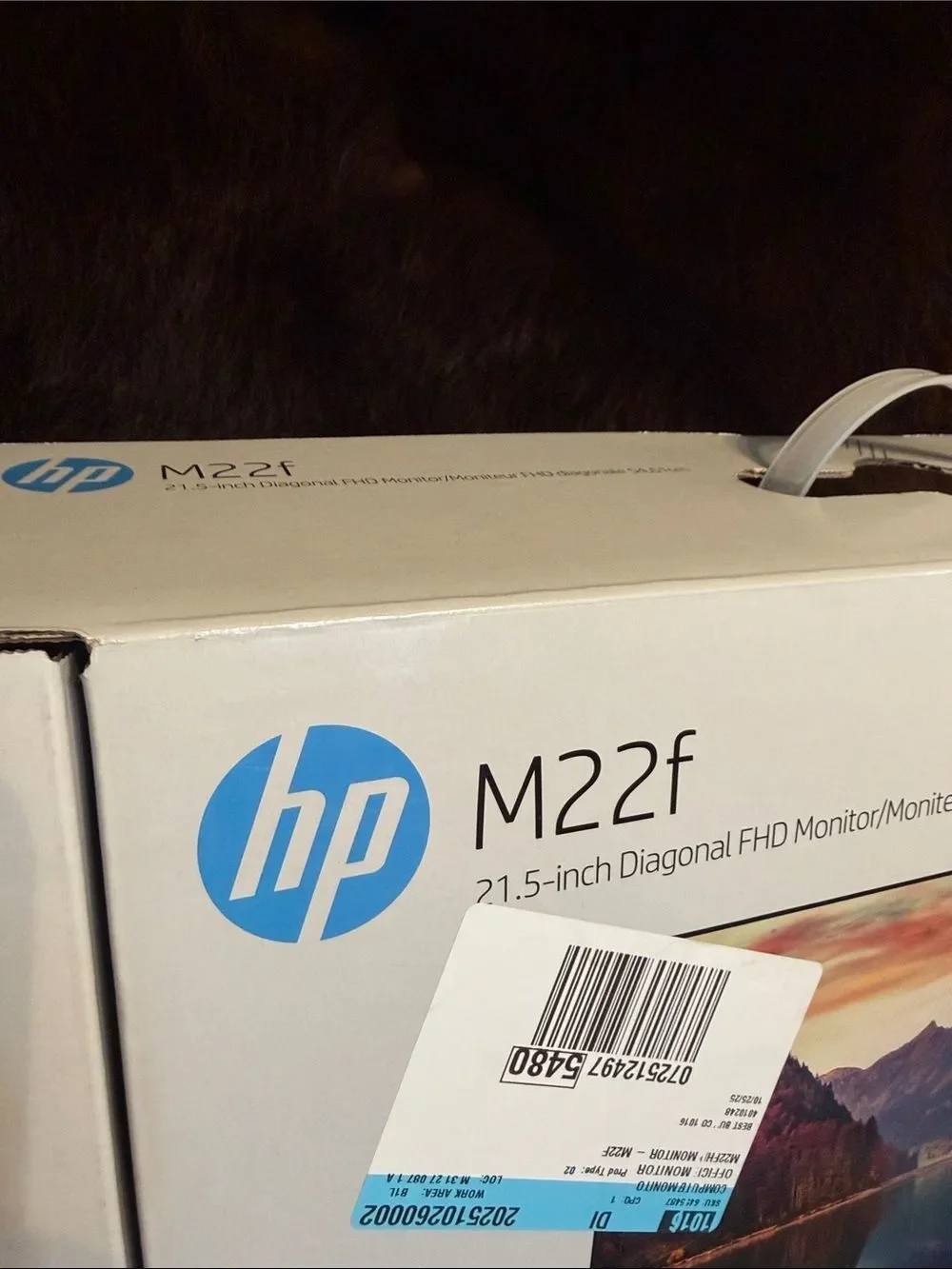 HP m22f retail